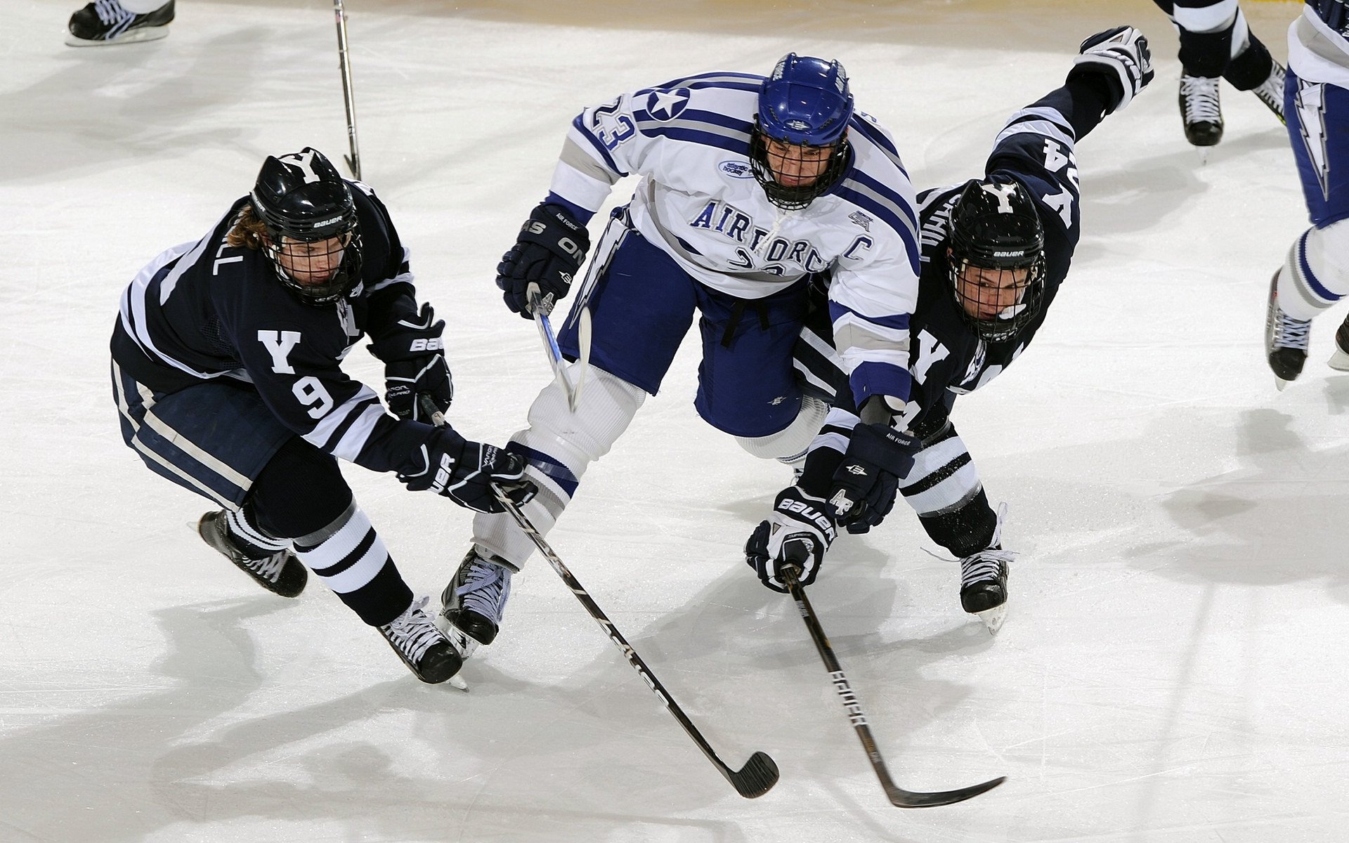 特色足球场馆“绿色+智慧+科技”成为行业新风向，硬件设施不断升级
